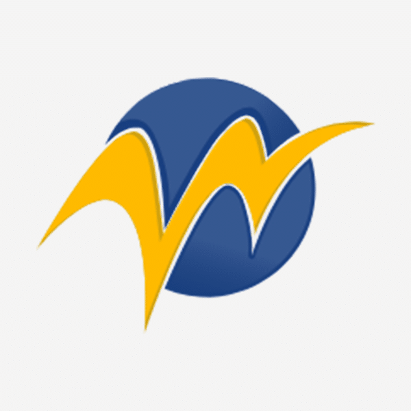 WAIOZ Consultancy Services